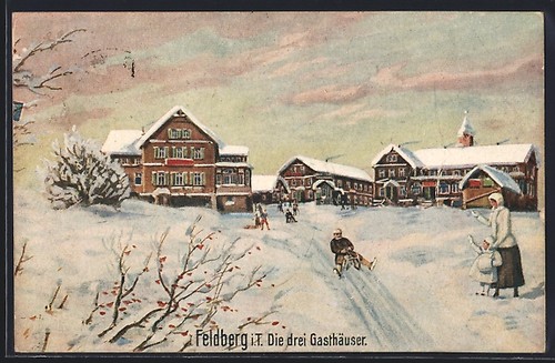 Artist postcard feldberg - postcard,