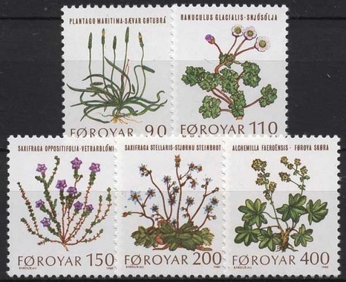Faroe islands 1980 field - islands,