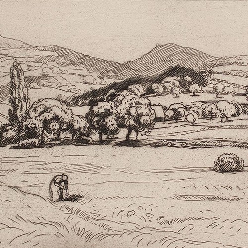 Landschaft frau bei feldarbeit - frau,