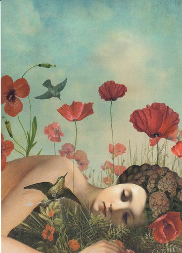 Postcard catrin welz - catrin, welz-stein
