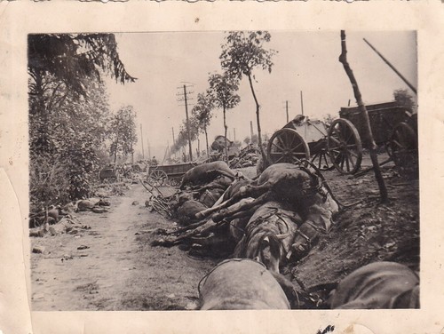 Photo battlefield ww2 - photo,
