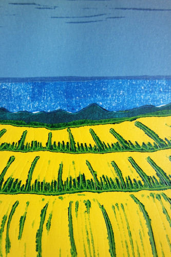 Color linocut crapeseed field - color, "crapeseed